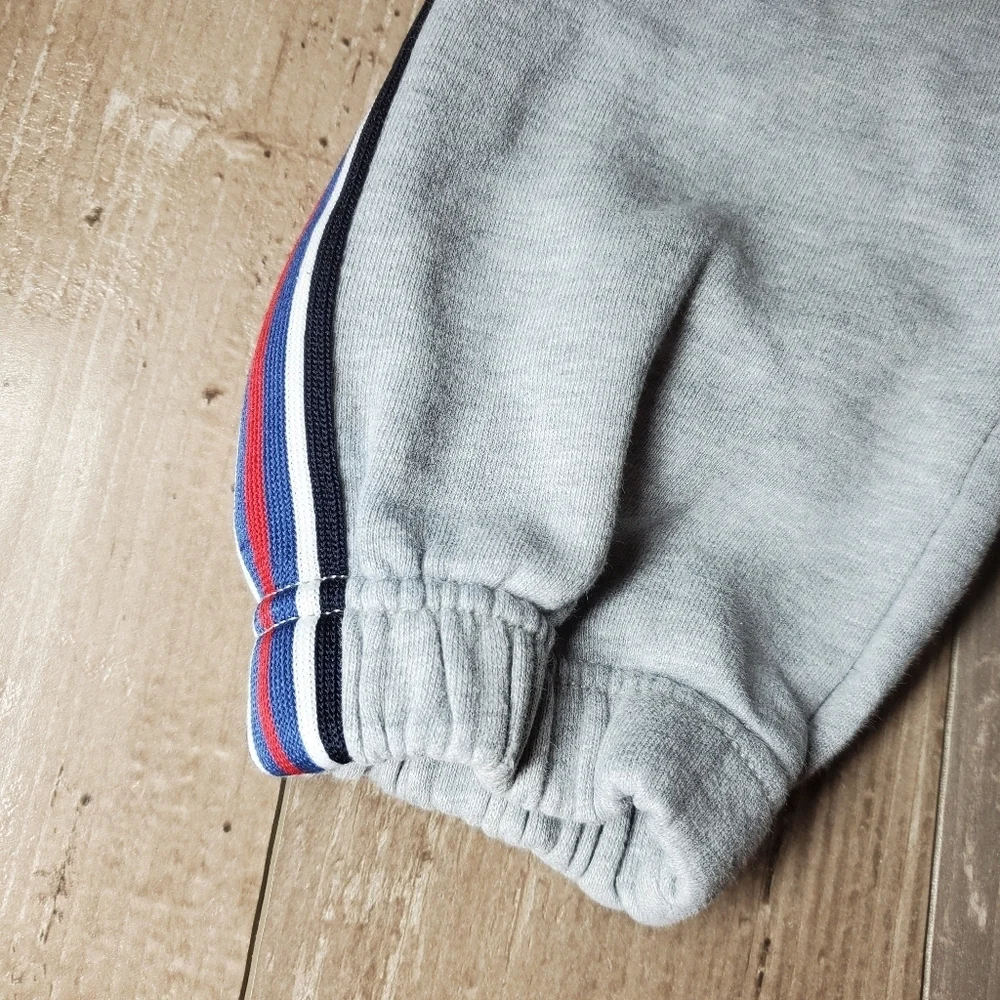Gymboree Gray Fleece-lined Jogger Sweatpants Boys Size 4T